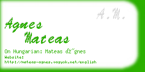 agnes mateas business card